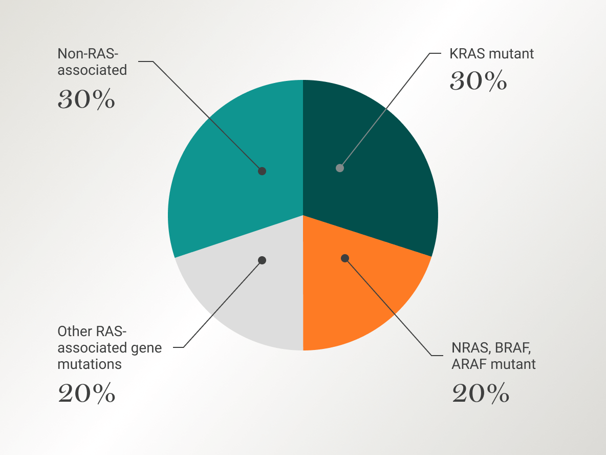 Pie chart showing percentages of RAS alterations in LGSOC